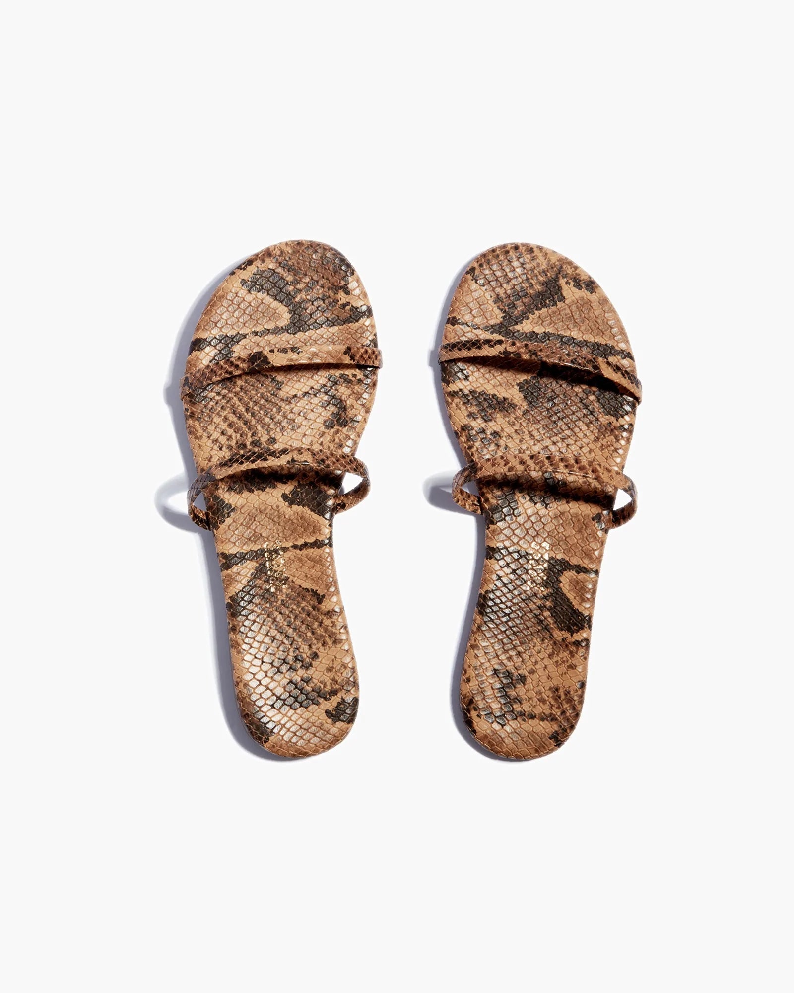 Snake Women\'s TKEES Gemma Vegan Animal Sandals | UQDTNY367